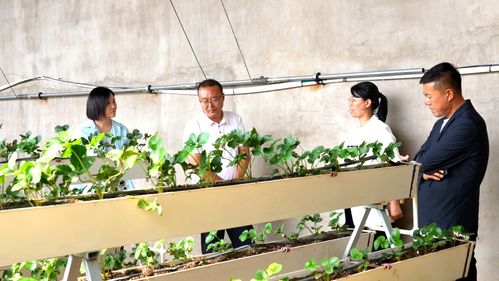 科技興農繪藍圖 縣委書記楊家佳深入調研，擘畫鄉村產業振興新路徑